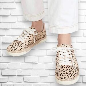 Dolce Vita Size 8.5 Women’s Madox Calf Hair Leopard-Print Sneakers •Low Top EGUC
